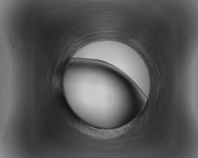X0000086760031200704130824