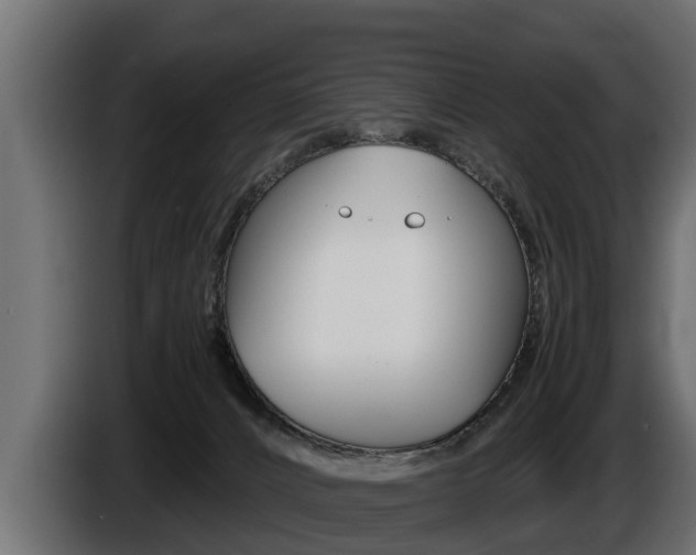 X0000086760032200704130824
