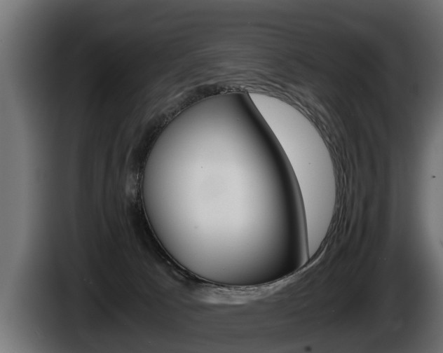 X0000086760033200704130824