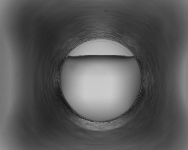 X0000086760034200704130824