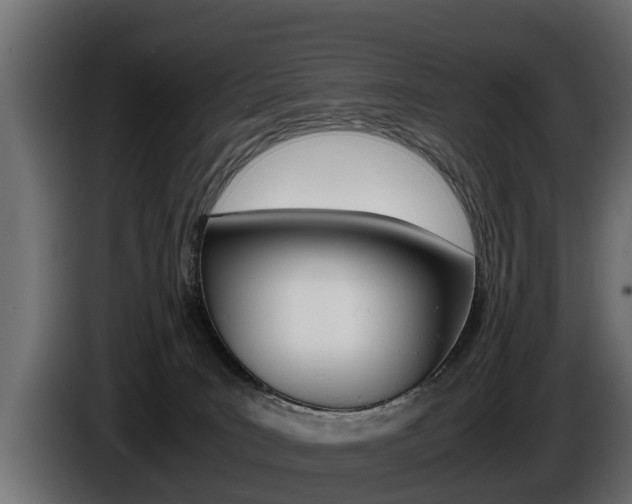 X0000086760035200704130824