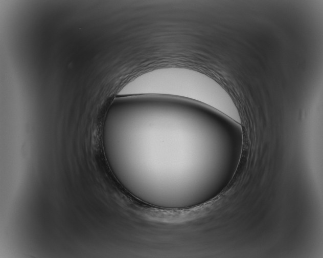 X0000086760037200704130824
