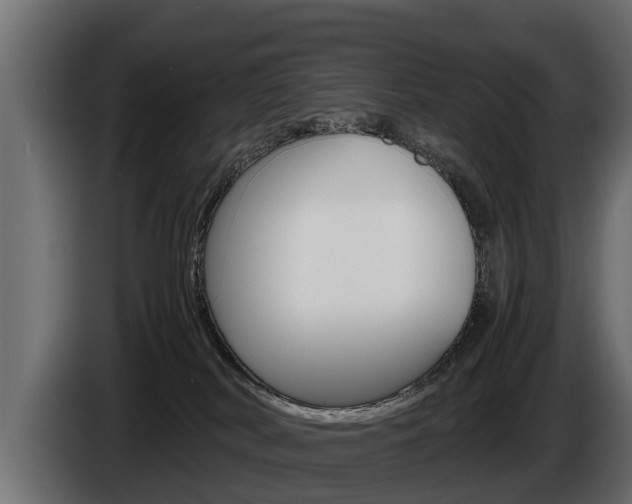 X0000086760038200704130824