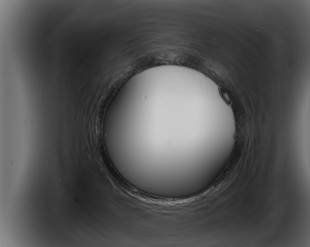 X0000086760040200704130824
