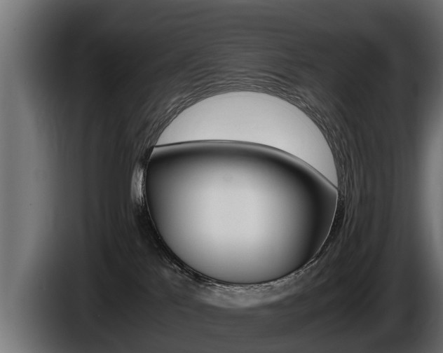 X0000086760041200704130824