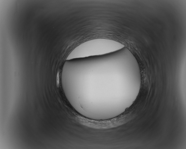 X0000086760042200704130824