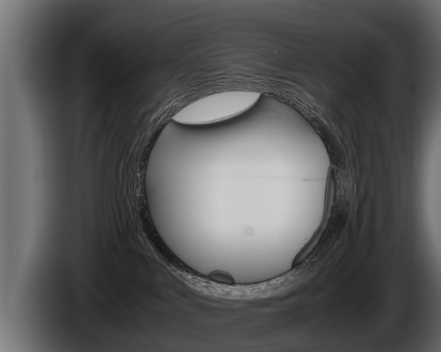 X0000086760043200704130824