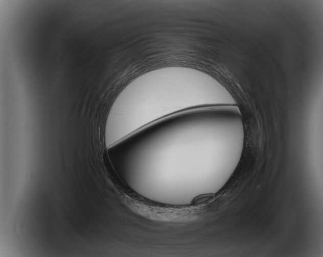 X0000086760044200704130824