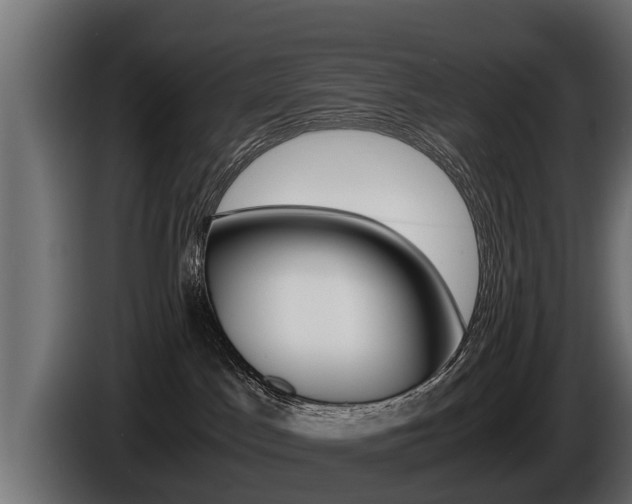 X0000086760045200704130824