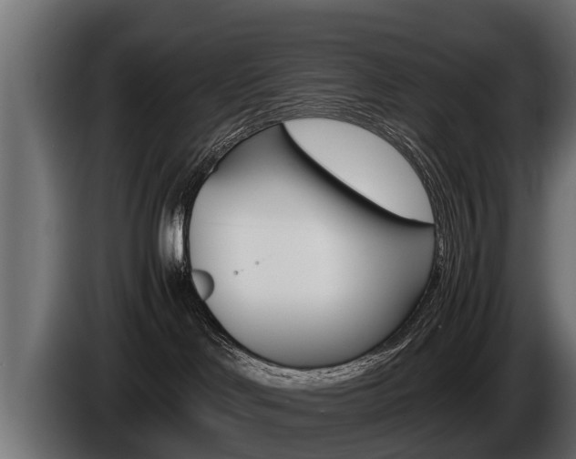 X0000086760046200704130824