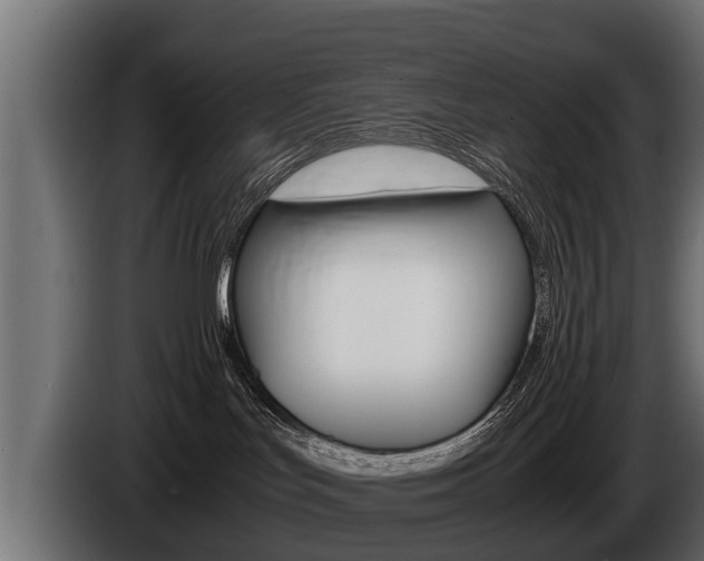 X0000086760047200704130824