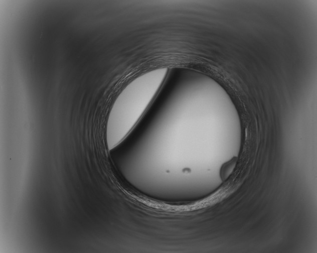 X0000086760048200704130824