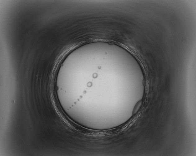 X0000086760049200704130823