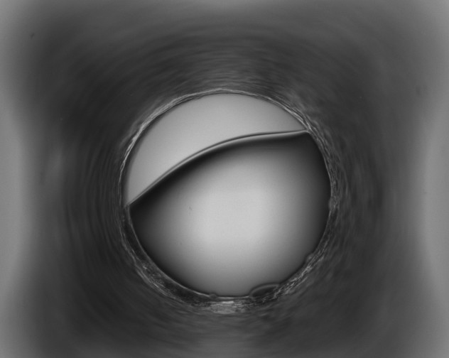 X0000086760050200704130823