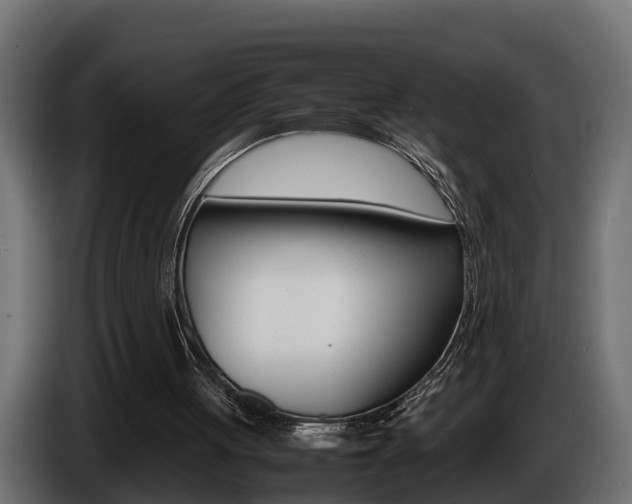 X0000086760051200704130823