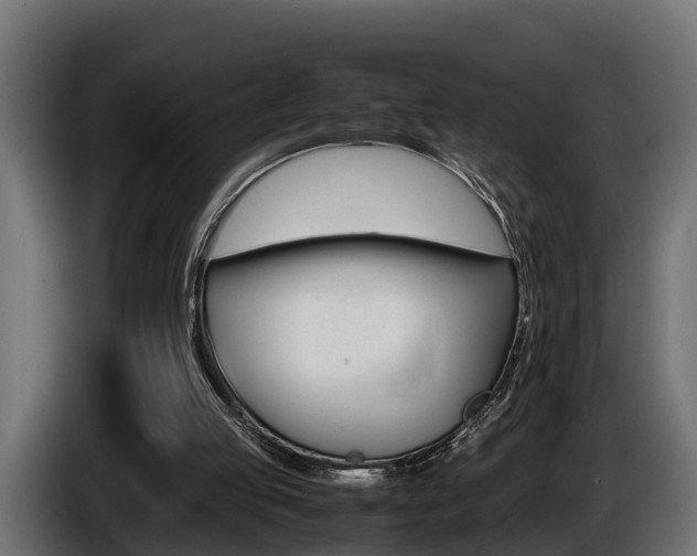 X0000086760053200704130823