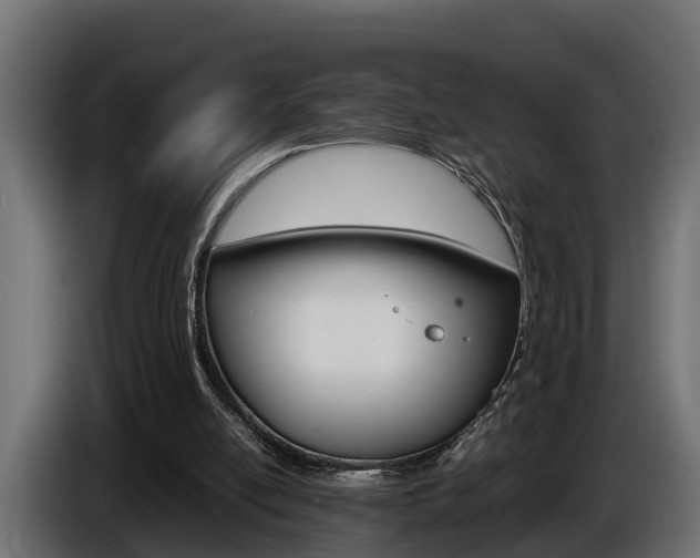 X0000086760054200704130823