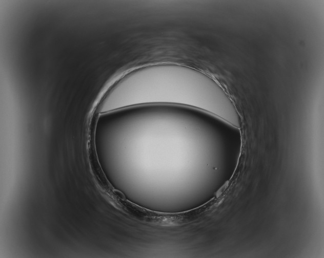 X0000086760056200704130823