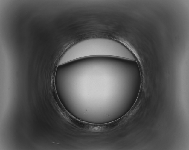 X0000086760057200704130823
