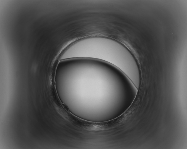 X0000086760060200704130823