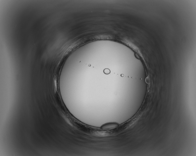 X0000086760061200704130823
