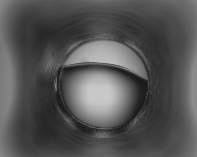 X0000086760062200704130823