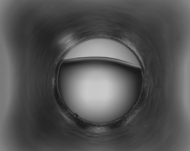 X0000086760063200704130823
