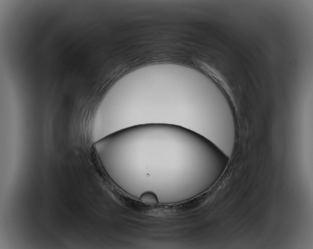 X0000086760065200704130823