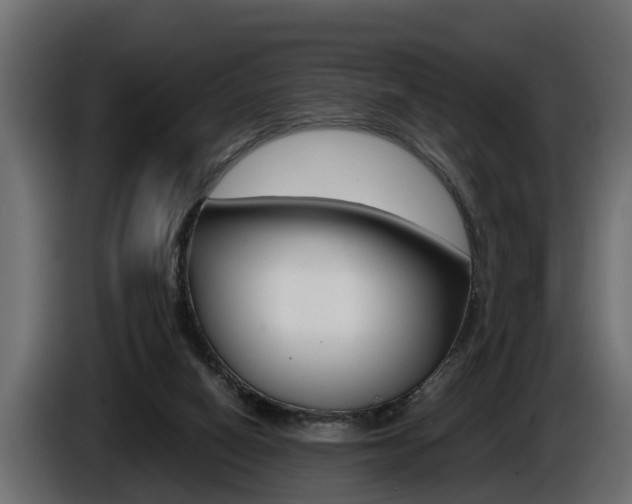 X0000086760066200704130823