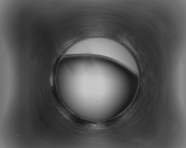 X0000086760068200704130823