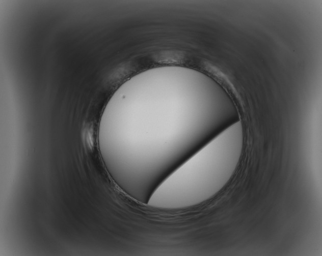 X0000086760069200704130823