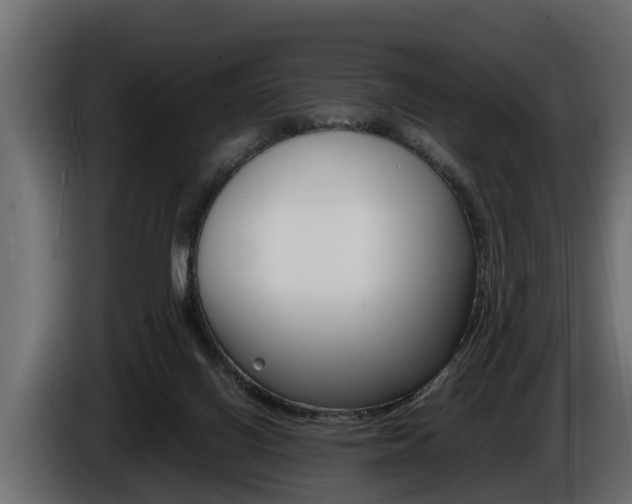 X0000086760070200704130823