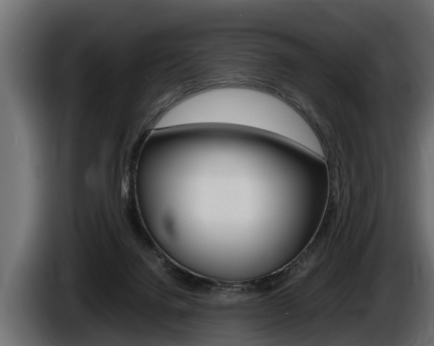 X0000086760072200704130823