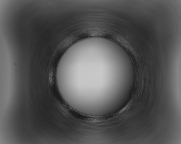 X0000086760074200704130824