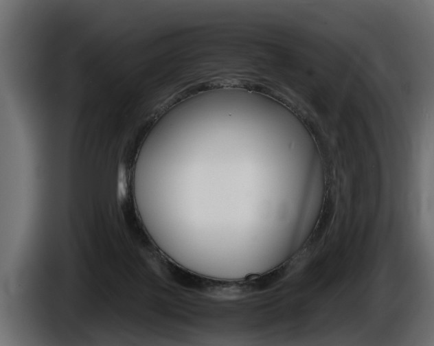 X0000086760075200704130824