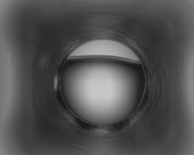 X0000086760076200704130824