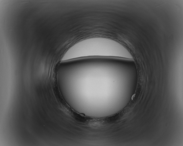X0000086760077200704130824