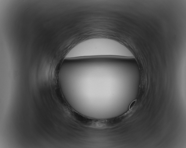 X0000086760078200704130824