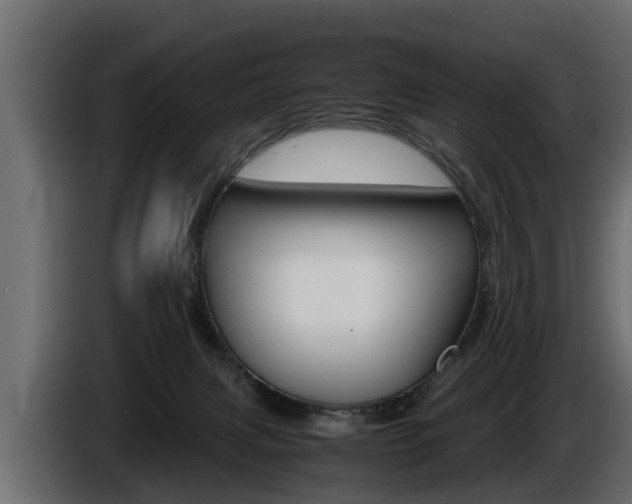 X0000086760079200704130824