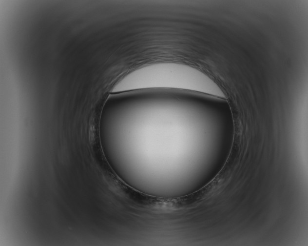 X0000086760080200704130824