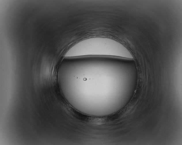 X0000086760081200704130824