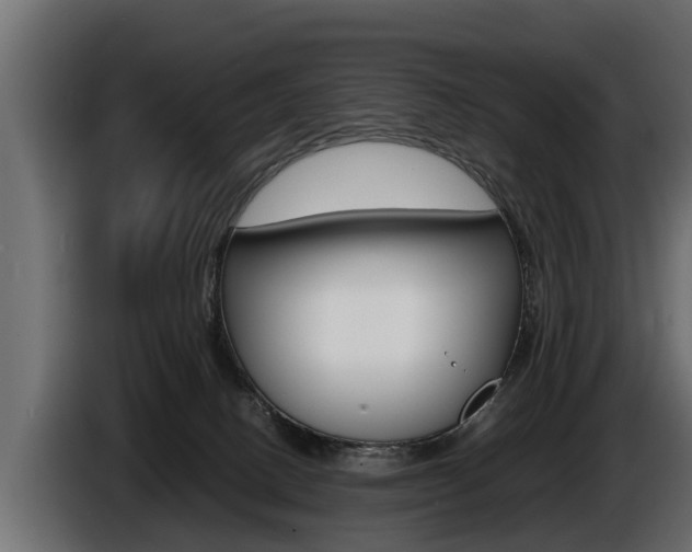 X0000086760082200704130824