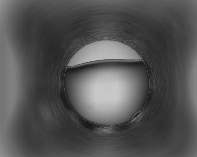 X0000086760086200704130824