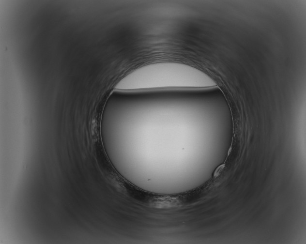 X0000086760087200704130824