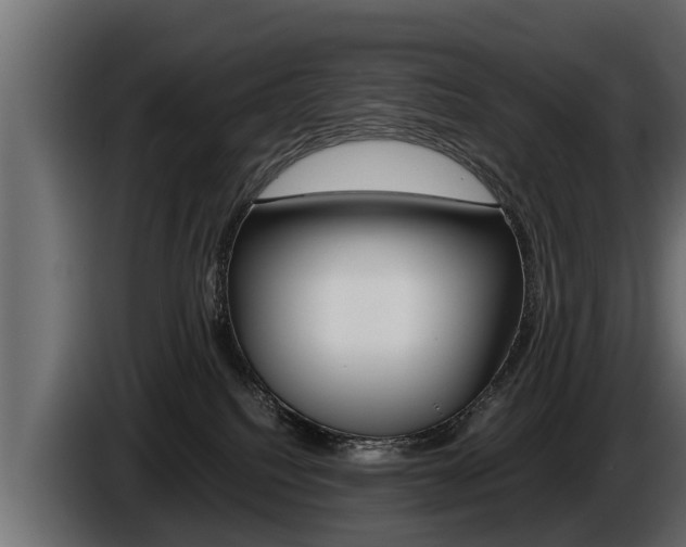 X0000086760088200704130824