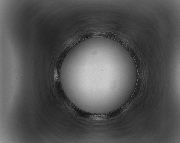 X0000086760089200704130824
