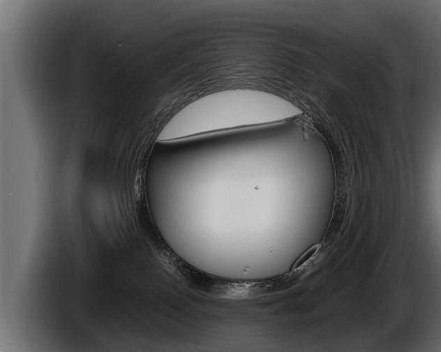 X0000086760090200704130824