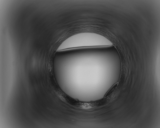 X0000086760091200704130824