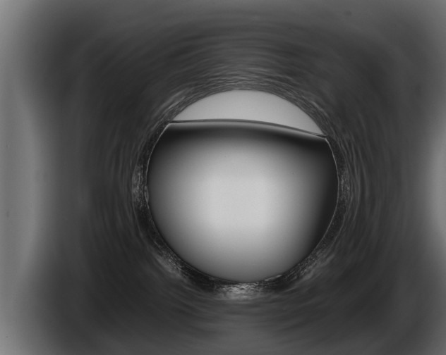 X0000086760092200704130824