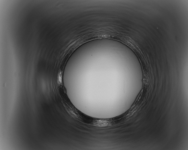 X0000086760095200704130824